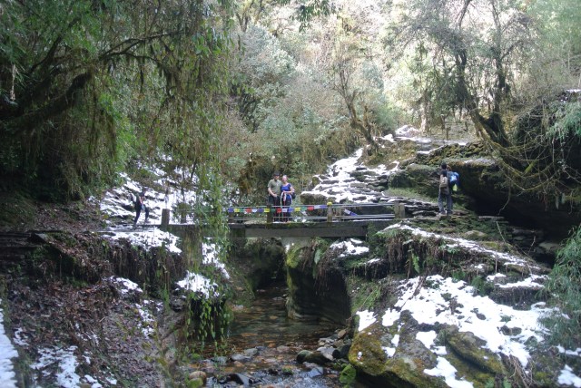 Ghorepani:Walking in a Winter Wonderland