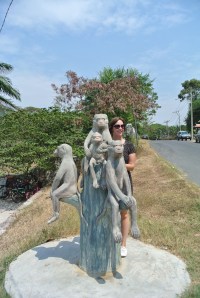 Spot the real monkey!