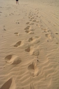 Sand people travel in single file to protect their numbers!