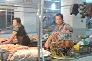 Fresh Chicken... Get your fresh chicken here!