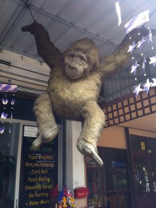 Funky Monkey indeed!