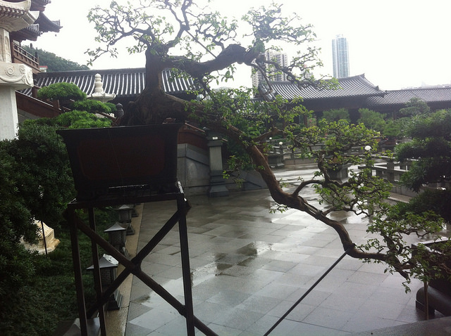 14360924621_8a5f73cf05_z