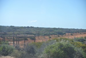 Project Eden fencing