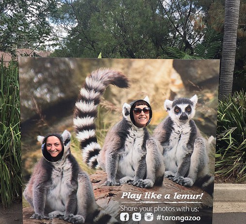 Wait a minute... those aren't Lemurs!!