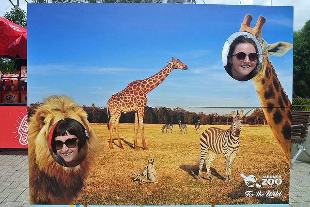 18352758481_605a523542_z