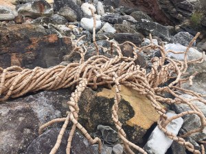 Lot of bottles went into this piece!!