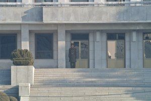 24198677561_221cc54f0f_z