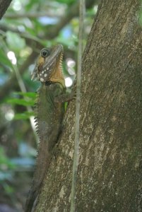 25292689073_c20ba05091_z